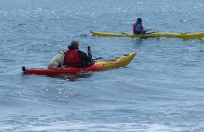 Прикрепленное изображение: 023.jpg